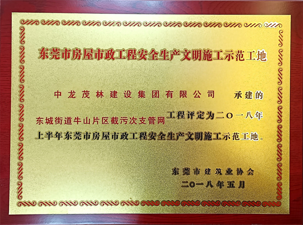 東城街道牛山片區(qū)截污次支管網(wǎng)工程評定為2